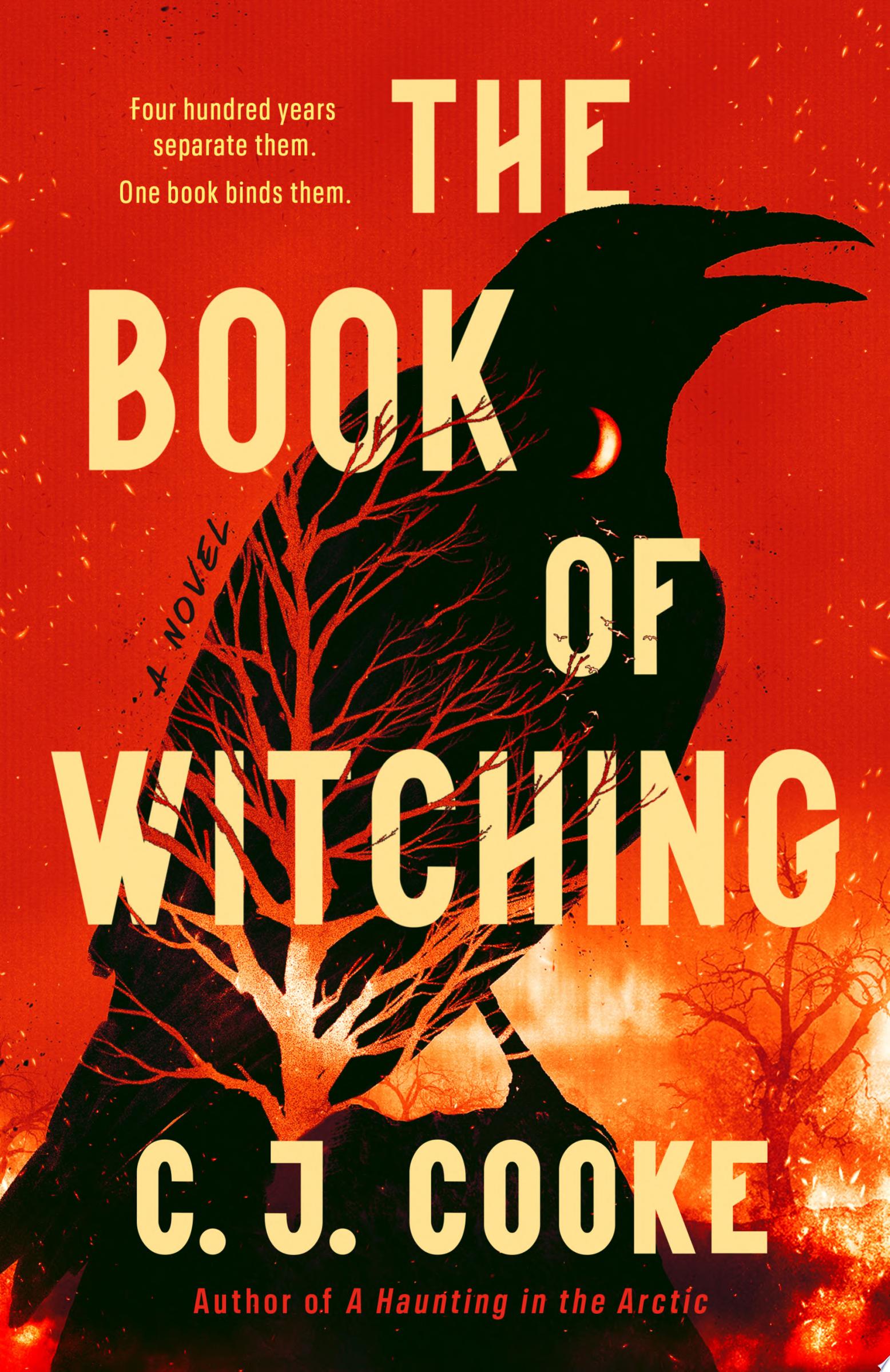 Image for "The Book of Witching"