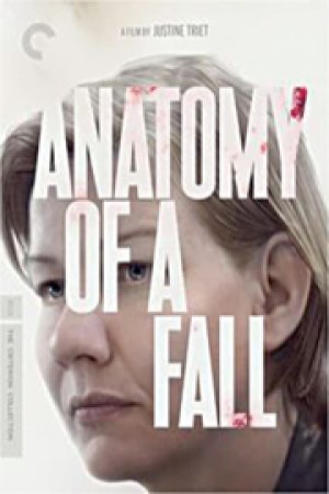 image for "Anatomy of a Fall"