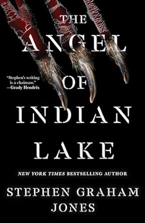 image for "The Angel of Indian Lake"