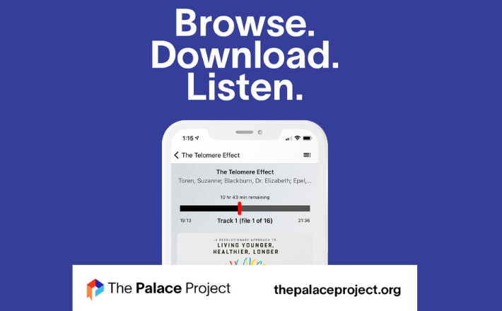 The Palace Project App Easy to Use 